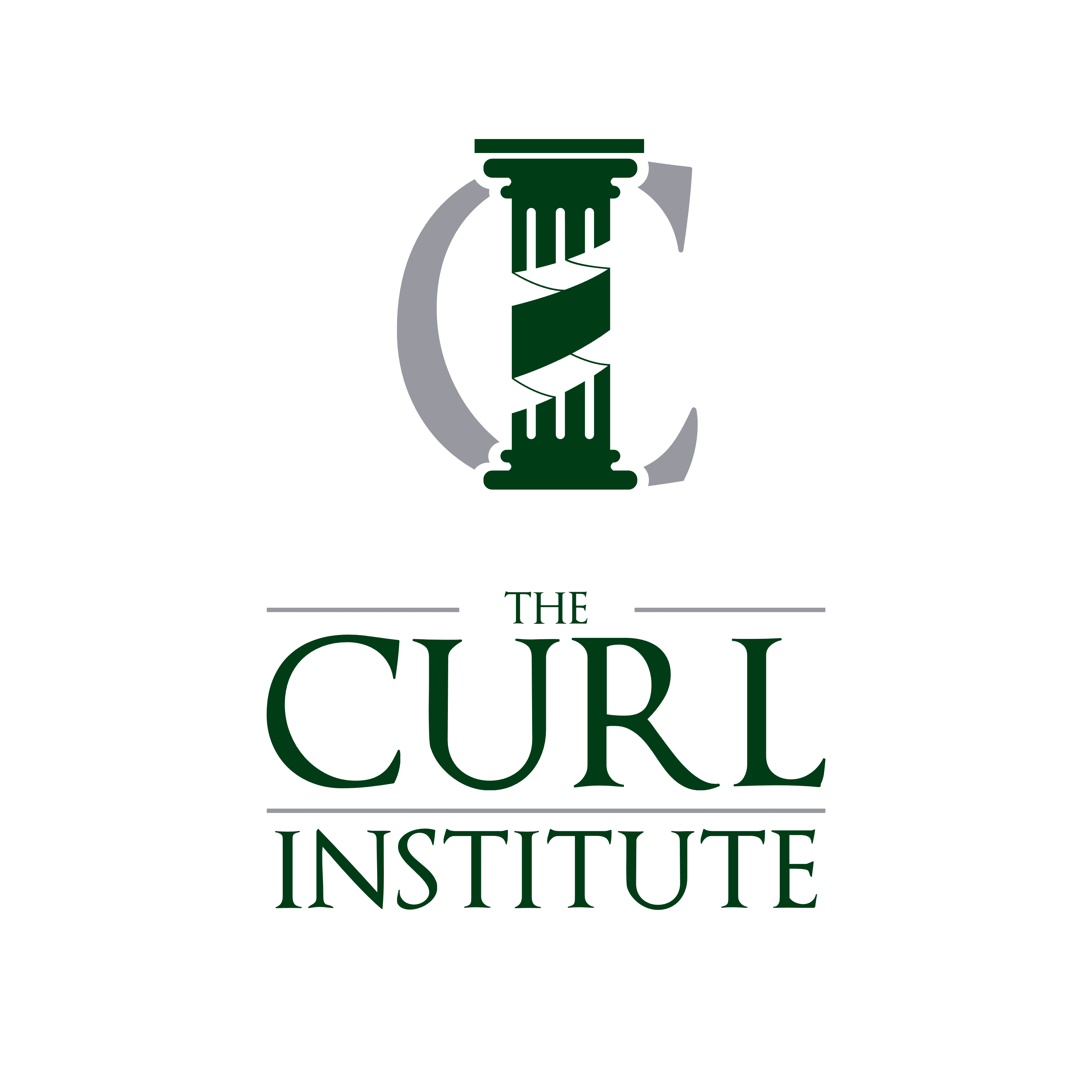 The Curl Institute ONLINE 2-Day Curly Hair Workshop